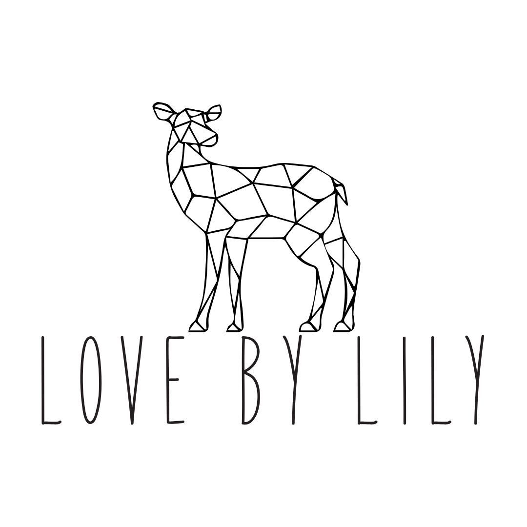 love by lily